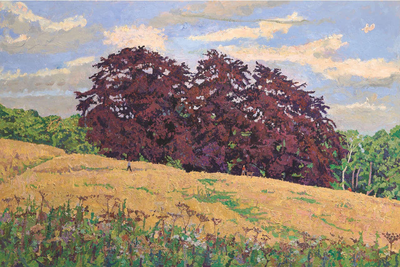 Copper beech trees on a summer hillside, oil painting by Peter Spens