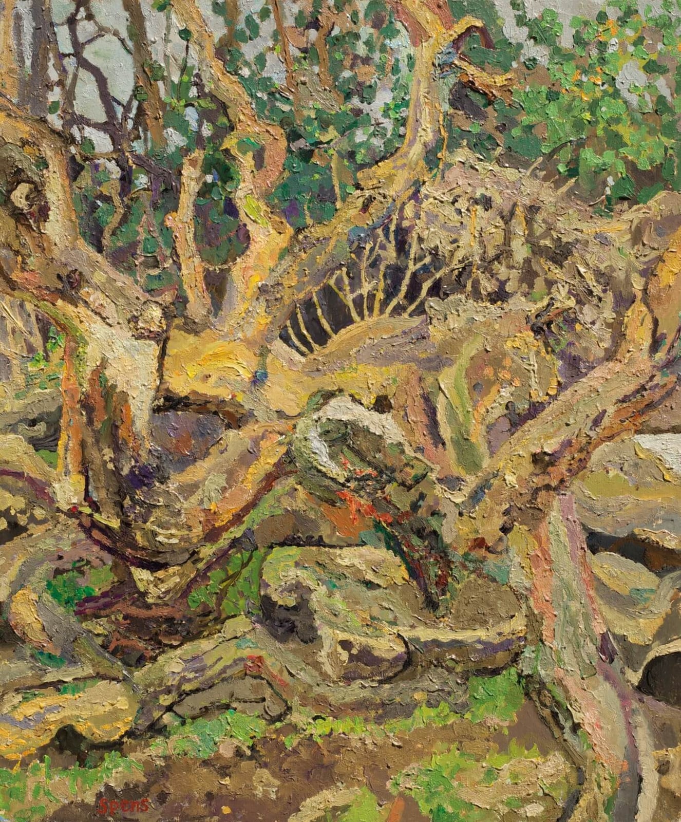 31. Fallen oak, Hampstead Heath, February. 2021.
