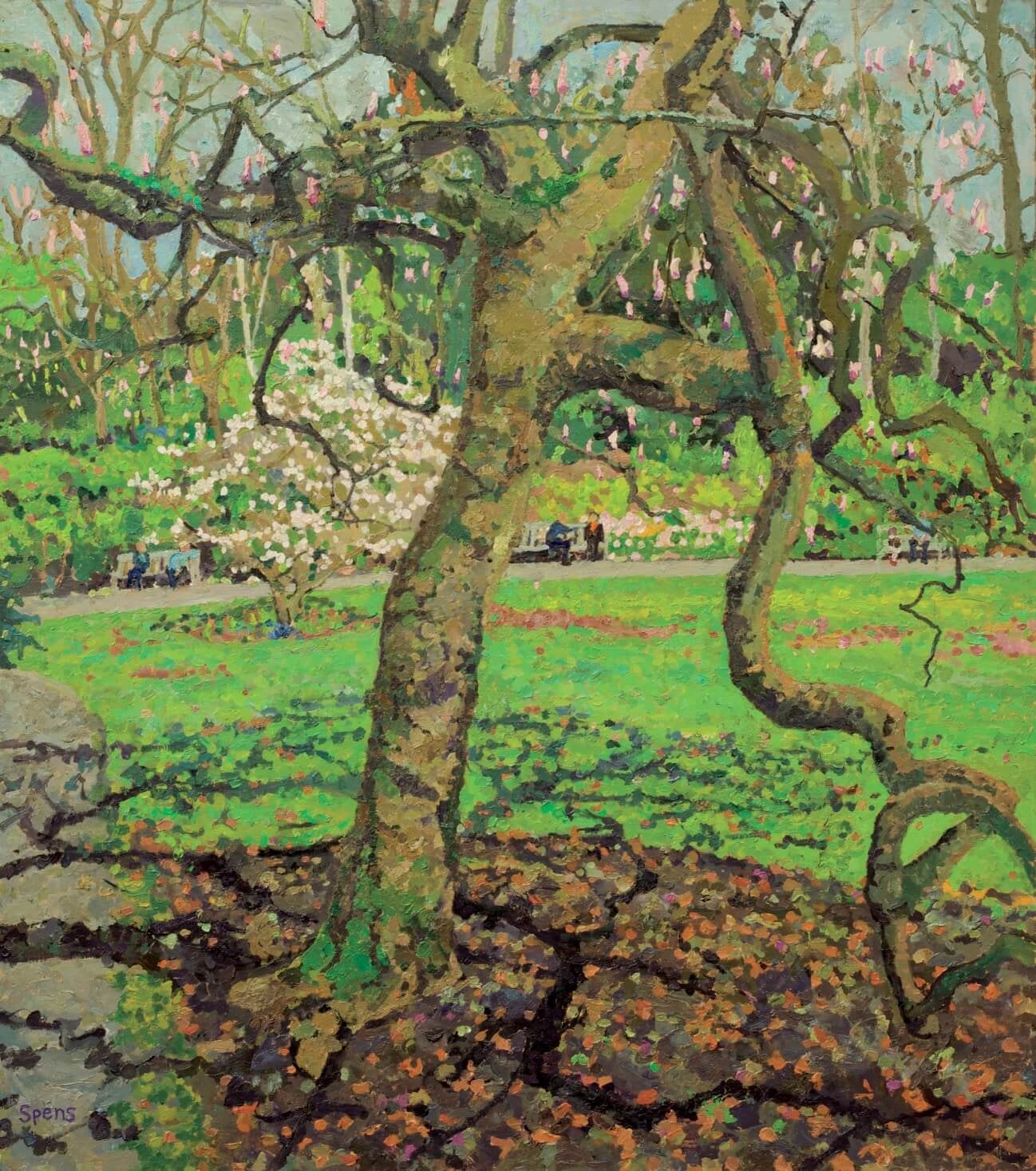 36. Early spring magnolia, Kenwood House. 2021.