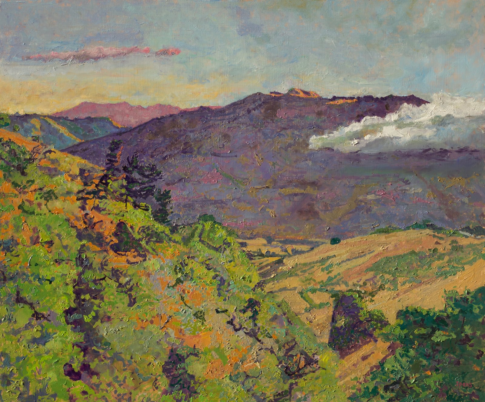 Paintings by Peter Spens at The Cranley Gallery