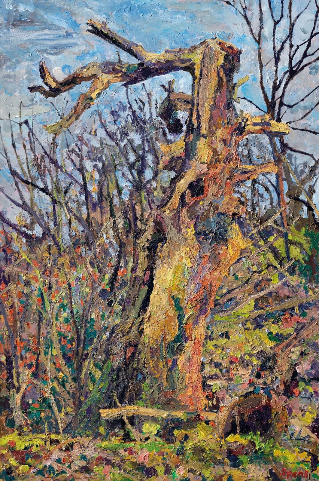 Hollow Oak, Hampstead Heath. 2017. 66 x 44 cm. Limited edition of 24 prints available
