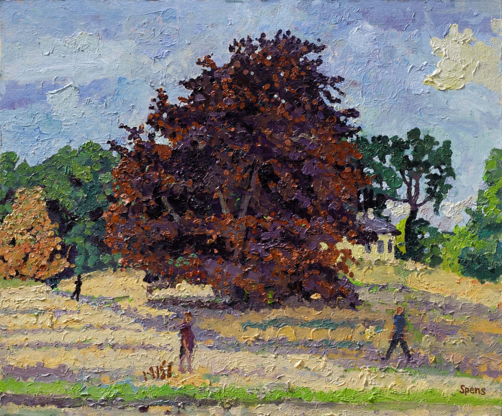 Hampstead Copper Beech, August. 33.1 x 39.5 cm. SOLD