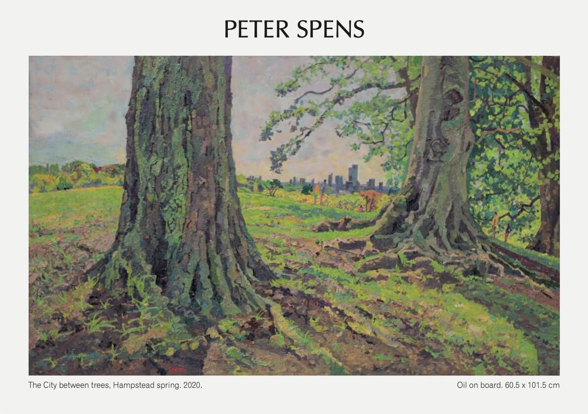 5 Peter Spens 2020 Vision Exhibition 5 Peter Spens 2020 Vision Exhibition
